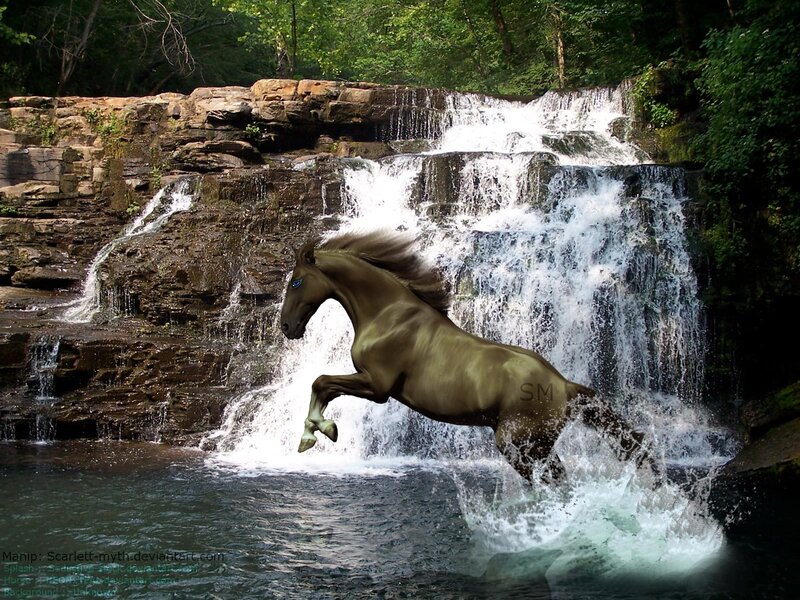 Brown Horse Leaping