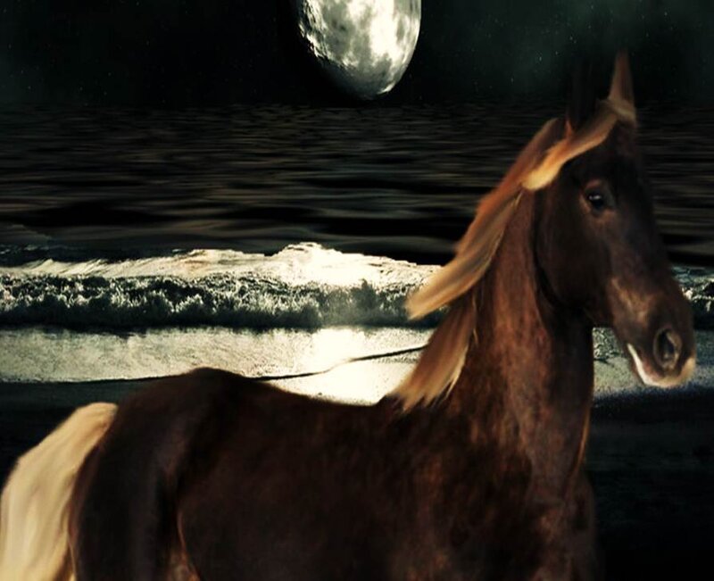 Brown Horse on Beach — Dramatic