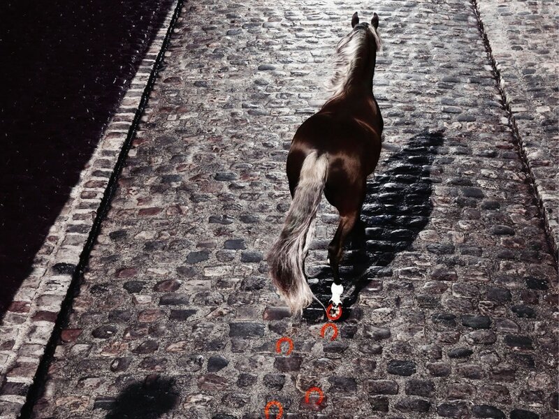 Brown Horse on Cobblestones — Dramatic