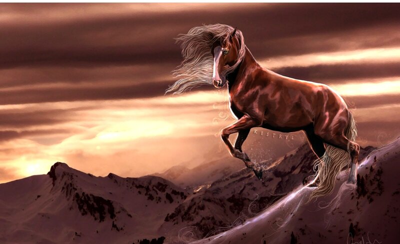 Brown Horse on Mountain