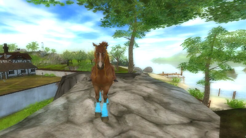 Brown Horse on Path