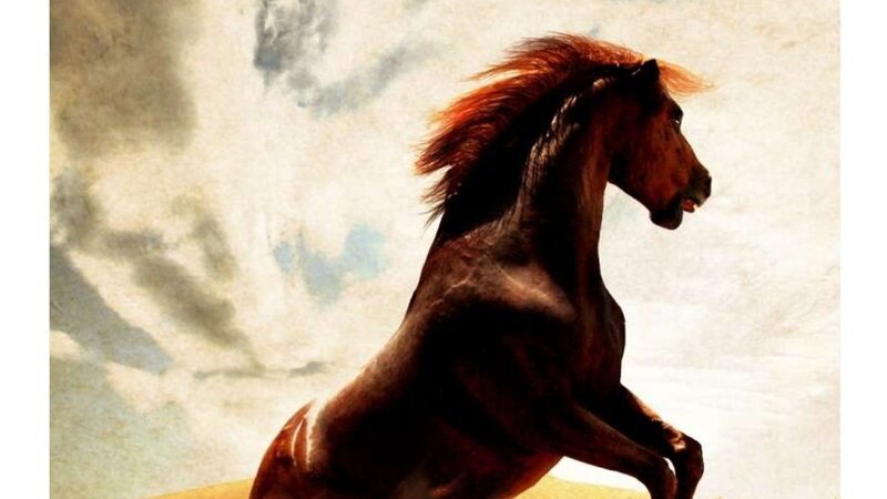 Brown Horse Rearing — Dramatic, Painting