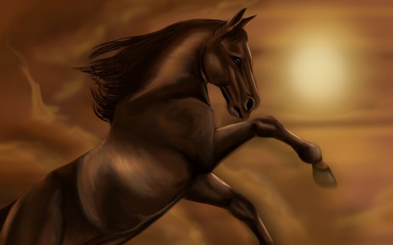 Brown Horse Rearing — Dramatic, Sunset