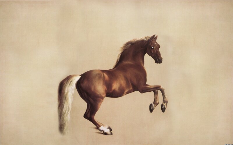Brown Horse Rearing — Dynamic, Painting