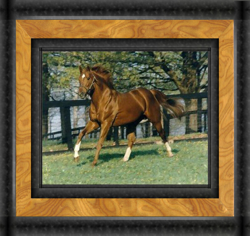 Brown Horse Running — Active, Afternoon, Photograph, Grass, Trees