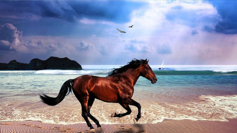 Brown Horse Running — Blue, Dramatic, Afternoon