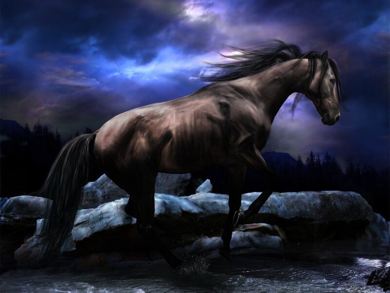 Brown Horse Running — Blue, Dramatic, Night