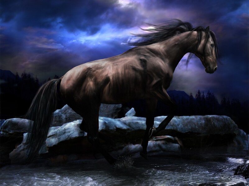 Brown Horse Running — Blue, Dramatic