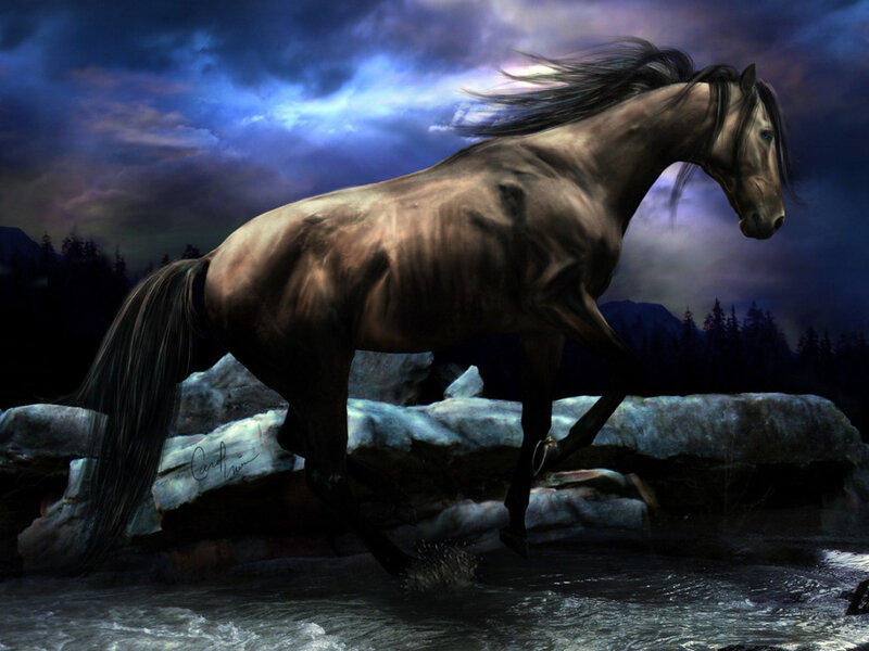 Brown Horse Running — Blue