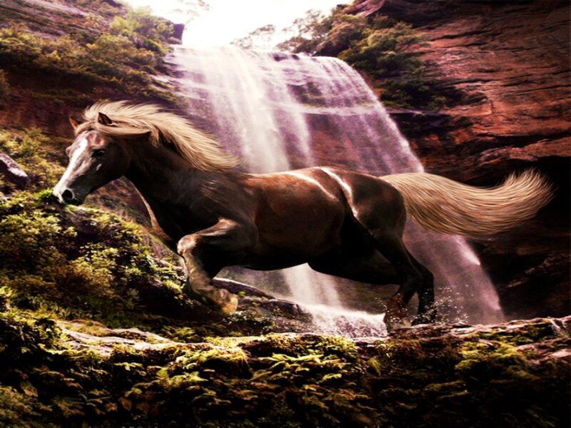 Brown Horse Running — Dramatic, Digital Art, Waterfall