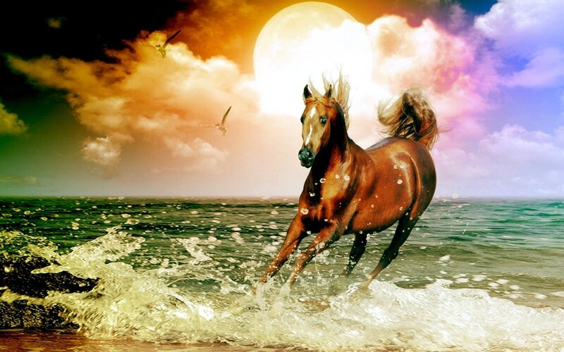 Brown Horse Running — Dramatic, Night, Digital Art, Sea