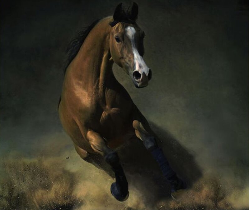 Brown Horse Running — Dramatic, Painting