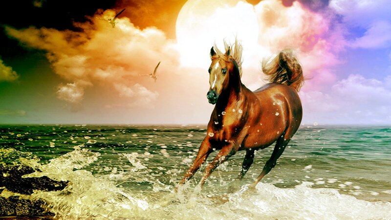 Brown Horse Running — Dramatic, Sunset, Digital Art, Sea