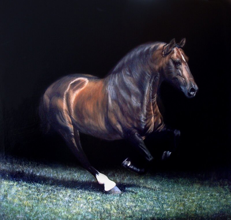 Brown Horse Running — Dramatic