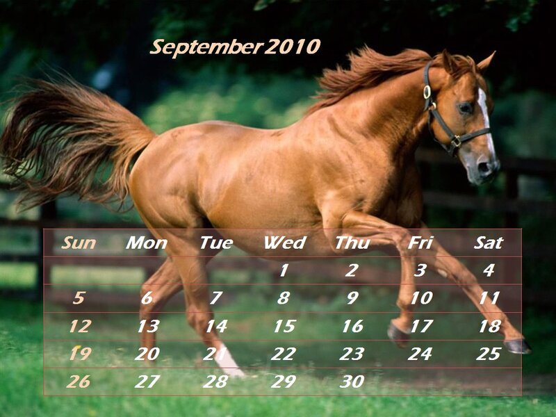 Brown Horse Running — Dynamic, Afternoon, Photograph, Calendar