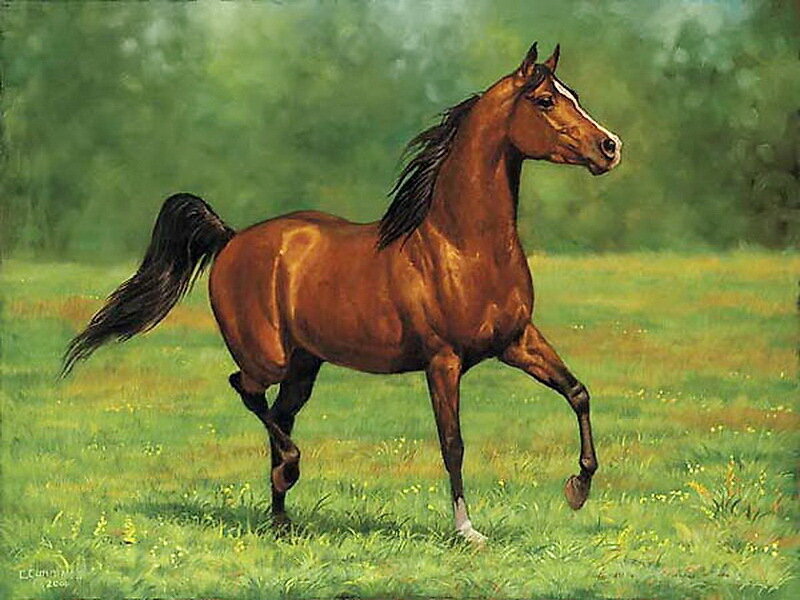 Brown Horse Running — Dynamic, Daytime, Illustration
