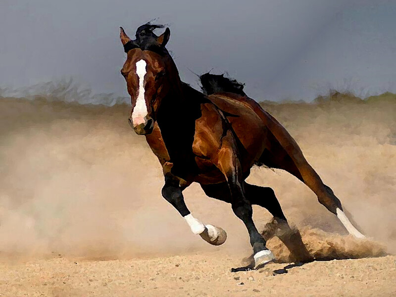 Brown Horse Running — Dynamic, Digital Art, Dust