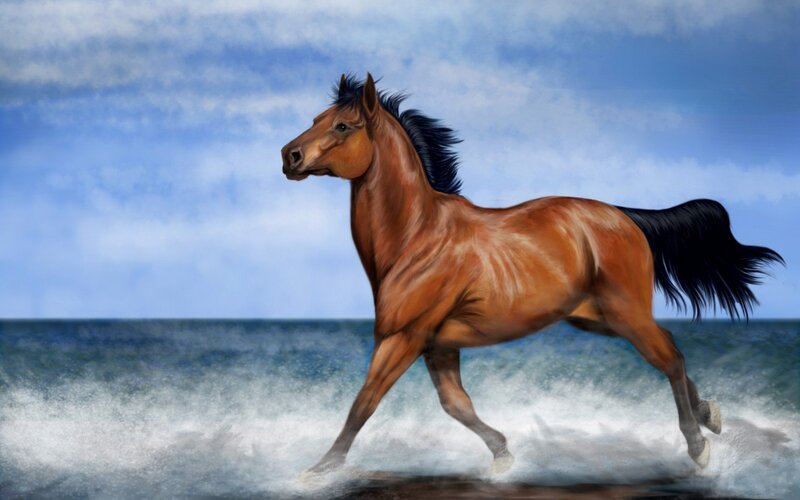 Brown Horse Running — Dynamic, Digital Art, Ocean