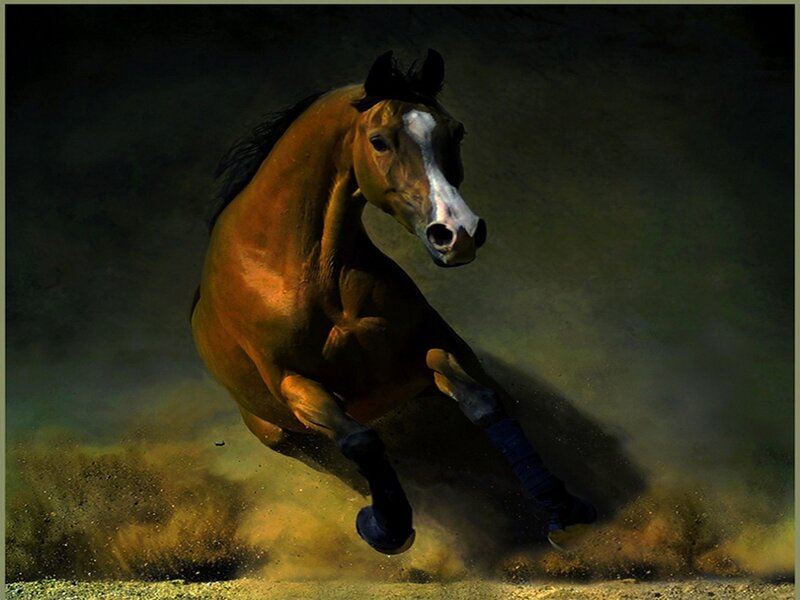 Brown Horse Running — Dynamic, Digital Art