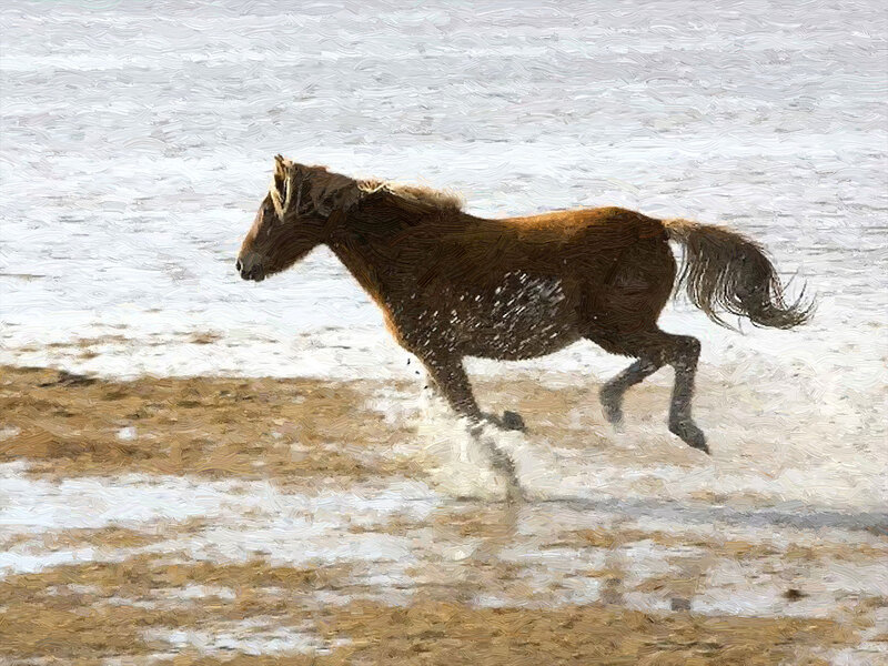 Brown Horse Running — Dynamic, Painting, Beach