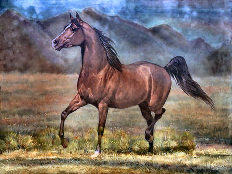 Brown Horse Running — Dynamic, Painting, Field
