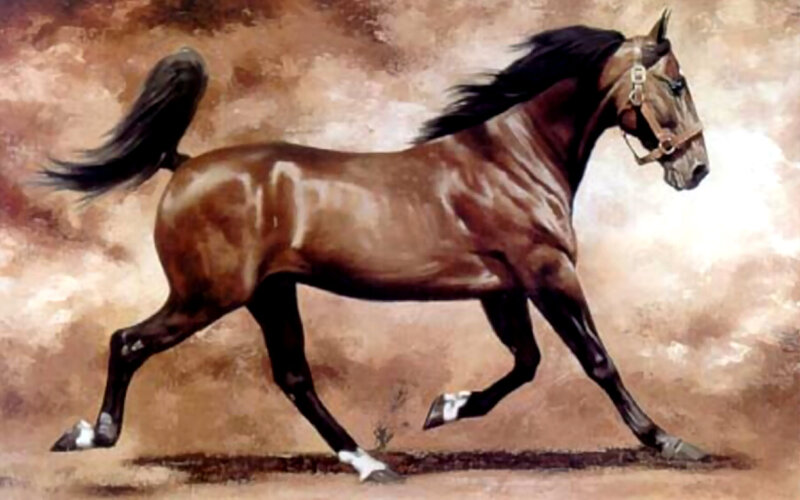 Brown Horse Running — Dynamic, Painting, Tail