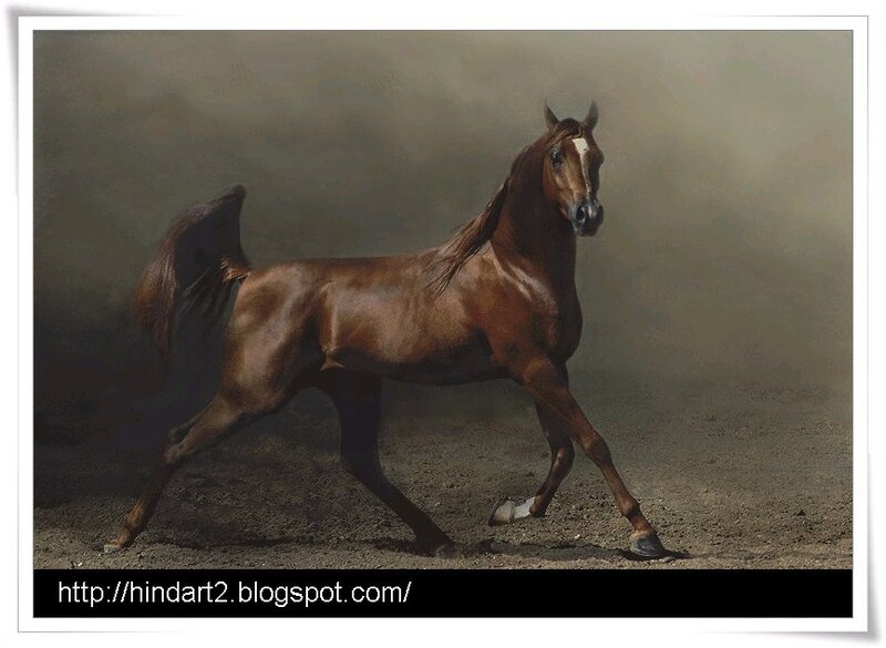 Brown Horse Running — Dynamic, Photograph, Dust