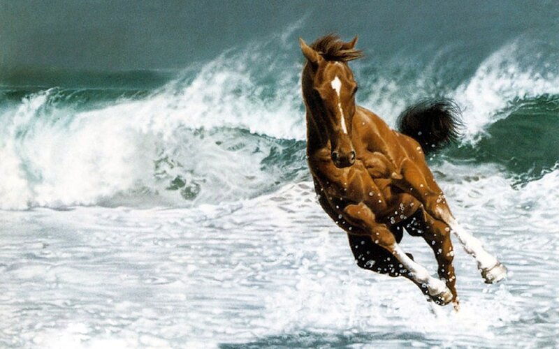 Brown Horse Running — Dynamic, Photograph, Ocean, Waves, Foam