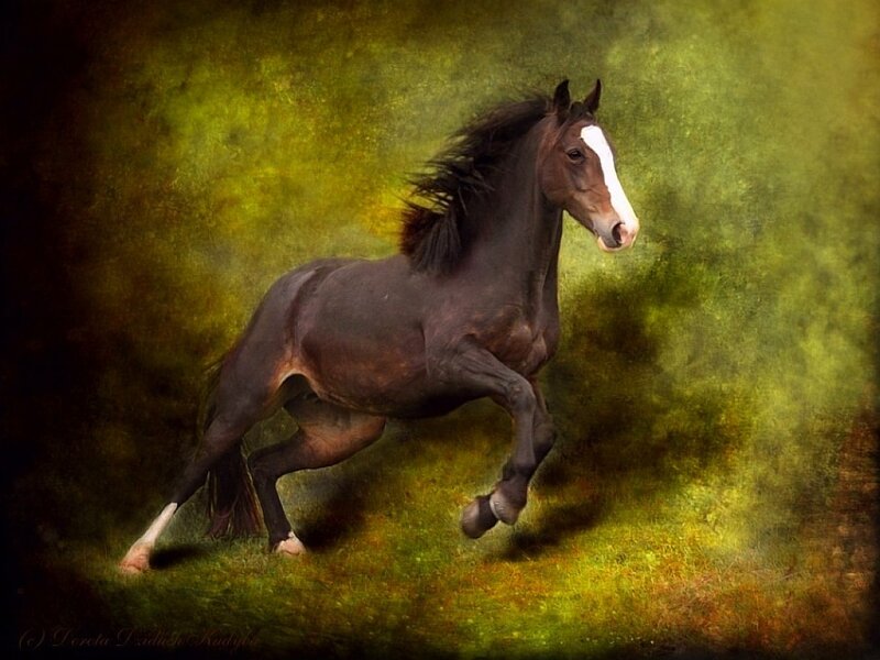 Brown Horse Running — Green