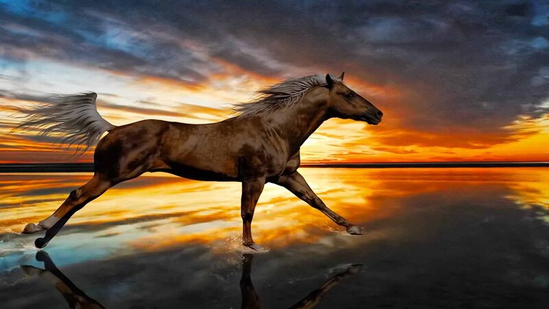 Brown Horse Running — Orange, Dramatic, Sunset, Digital Art