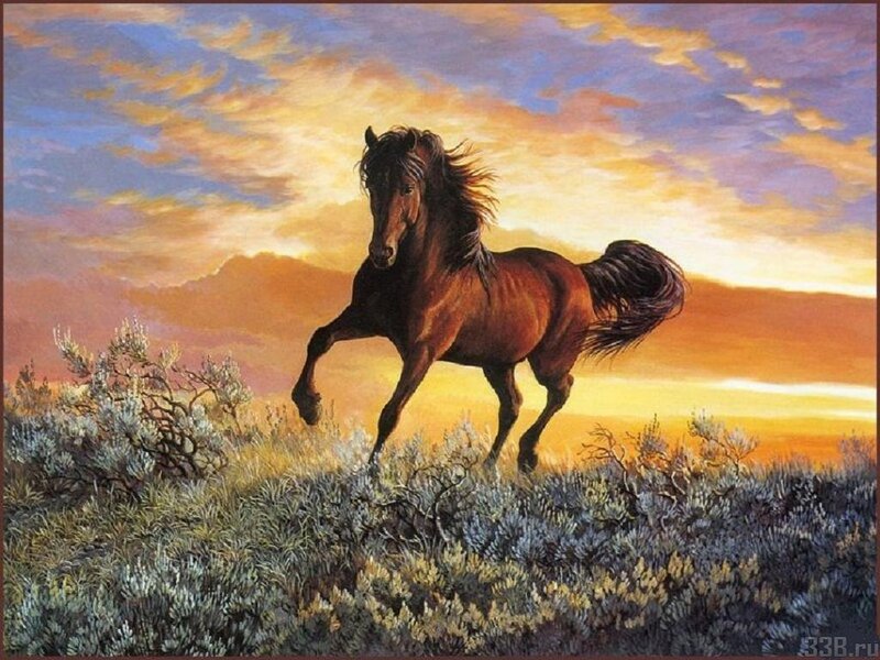 Brown Horse Running — Orange, Dramatic, Sunset