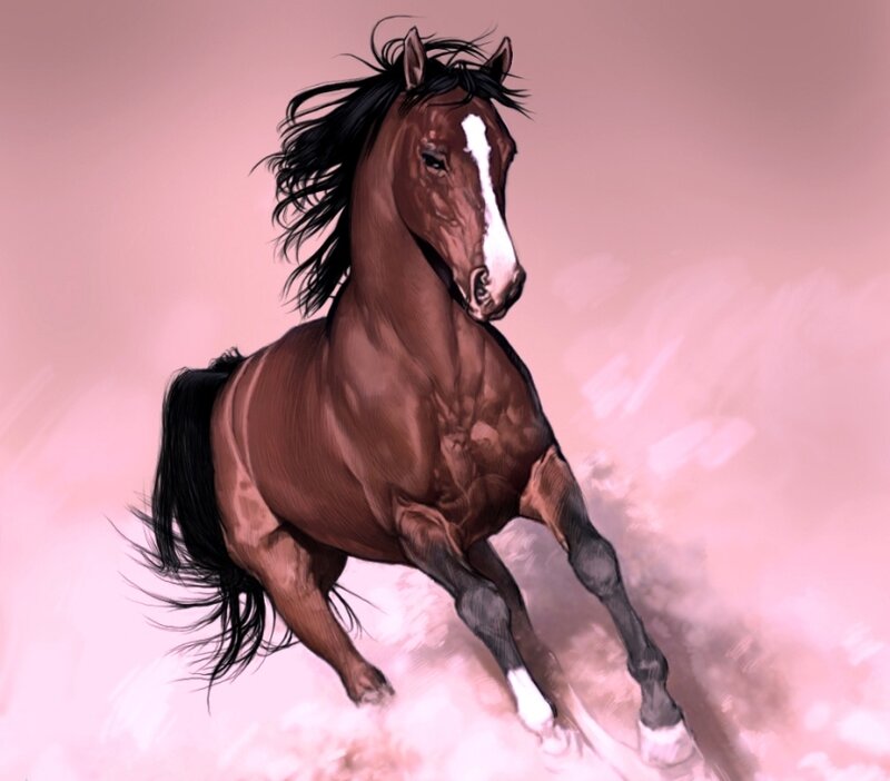 Brown Horse Running — Pink