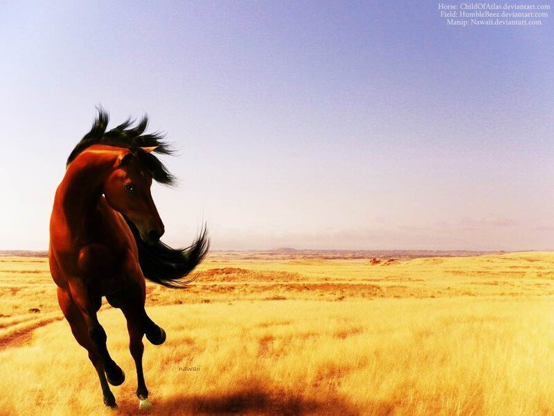 Brown Horse Running — Yellow, Dynamic, Afternoon