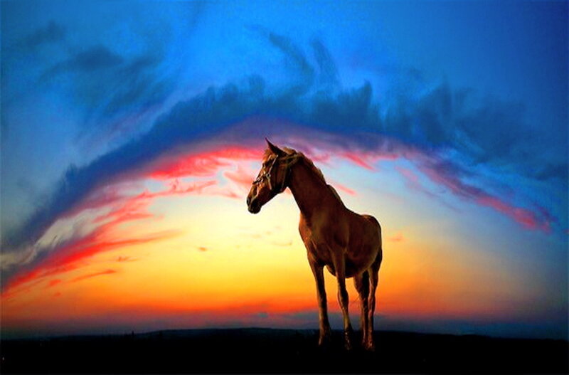 Brown Horse Silhouette
