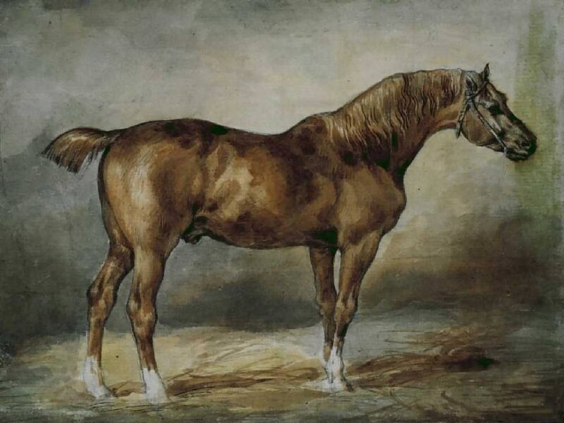 Brown Horse Standing — Calm, Painting