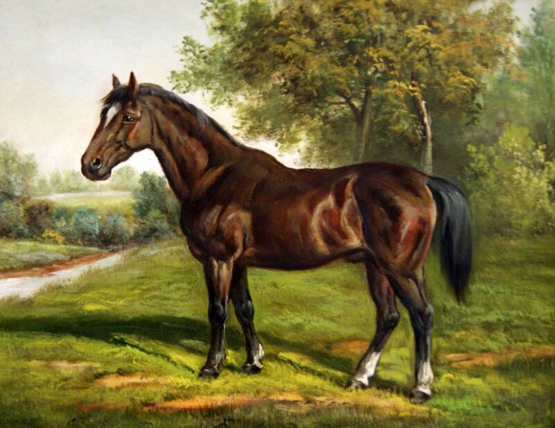 Brown Horse Standing — Green, Serene