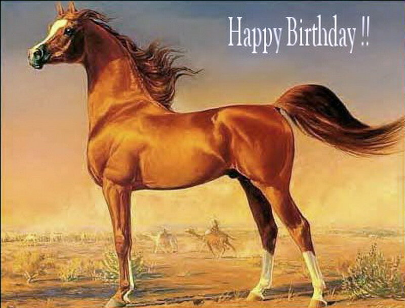 Brown Horse Standing — Serene