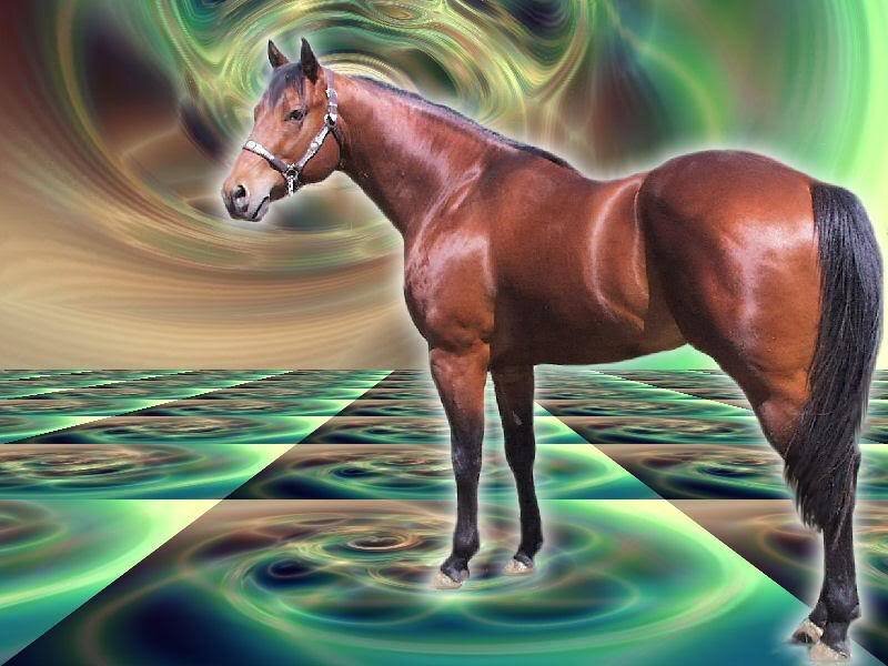 Brown Horse Standing — Surreal