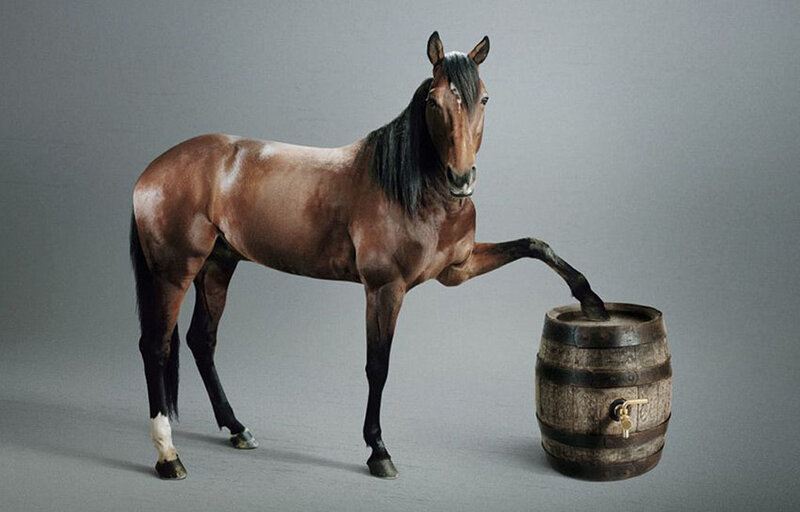 Brown Horse with Barrel
