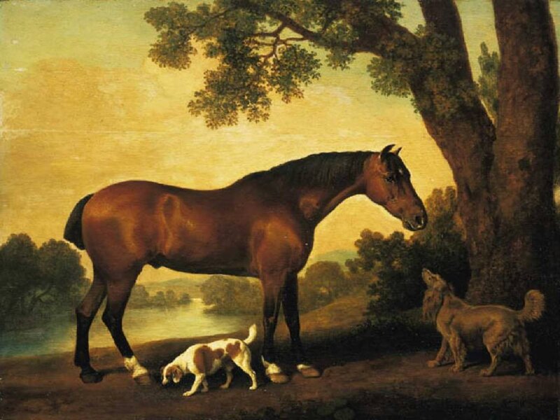 Brown Horse with Dogs