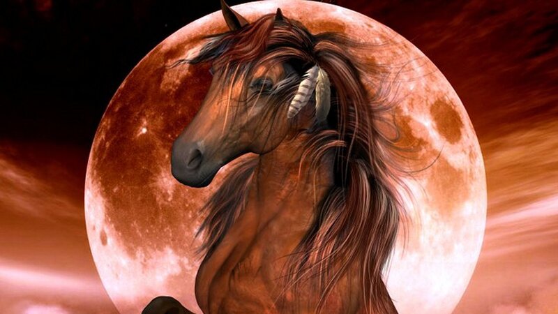 Brown Horse with Feather