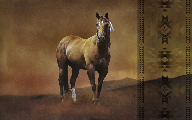 Brown Horse with Feathers