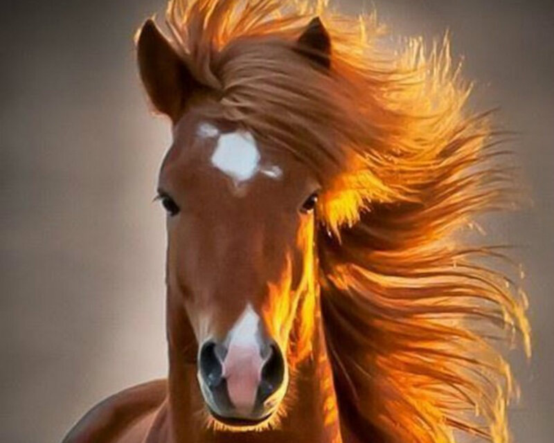 Brown Horse with Flowing Mane — Dramatic, Digital Art