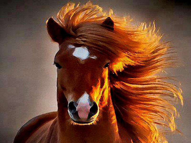 Brown Horse with Flowing Mane — Dramatic