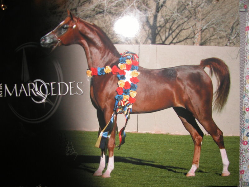 Brown Horse with Garland