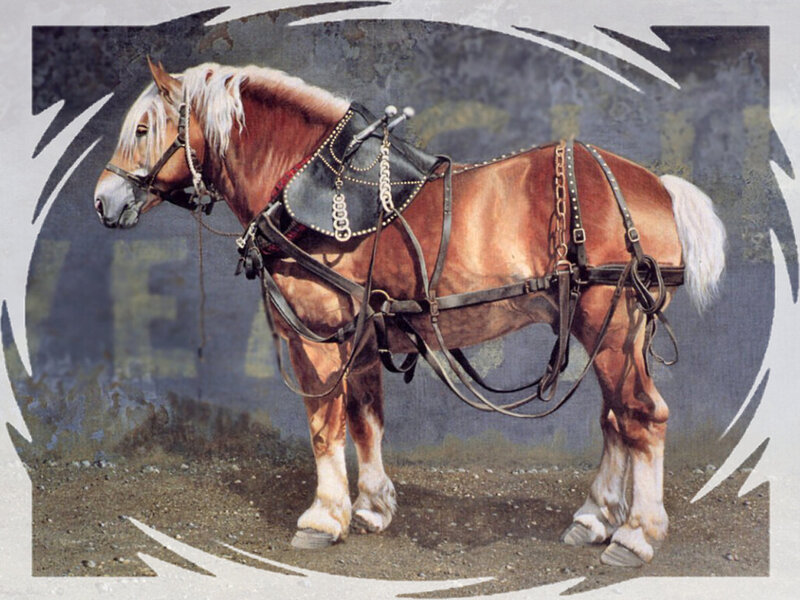 Brown Horse with Harness