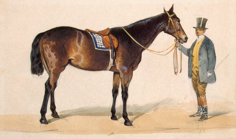 Brown Horse with Rider — Calm