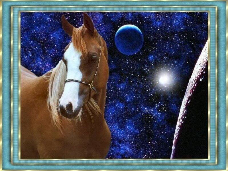 Brown Horse with White Blaze — Blue