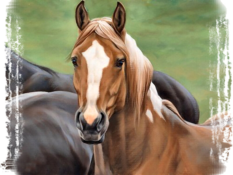 Brown Horse with White Blaze — Calm, Painting