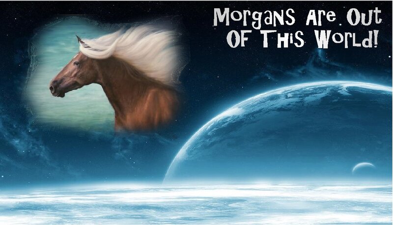 Brown Horse with White Mane — Blue, Dramatic